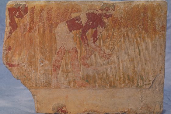ABDUA_21630_relief.